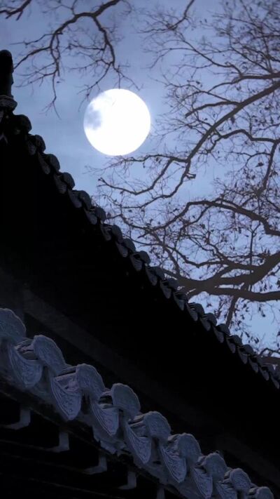 《大婚前薄情王爷变了心，我改嫁死对头他哭了》剧照