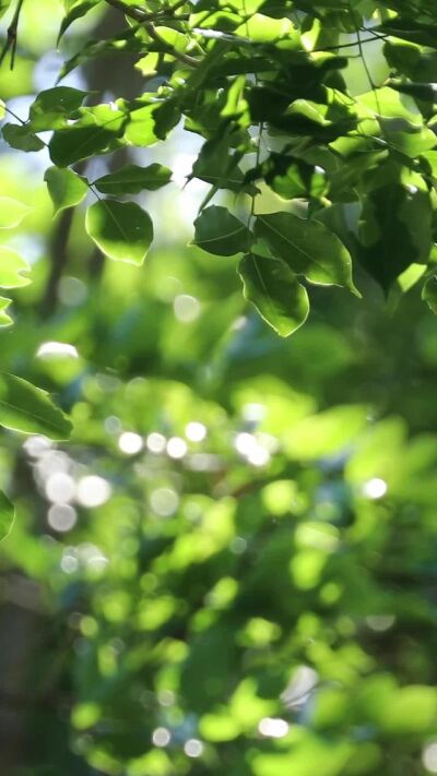 《乡梦情澜》剧照