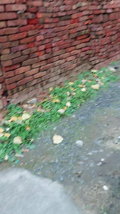 《山中巨物》劇照