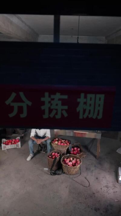 《一筐水蜜桃，盤活整座桃溪村》劇照