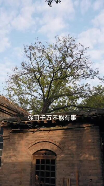 《情满农家院》剧照