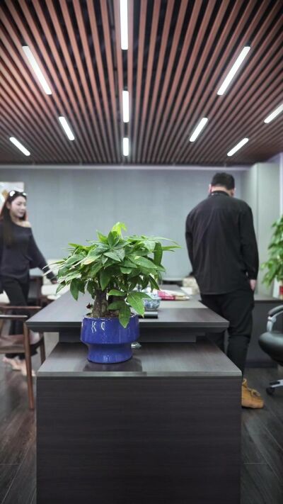 《系統助我當歌神》劇照