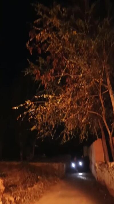 《山中巨物》劇照
