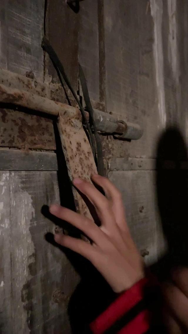 《雁歸黃土塬》劇照