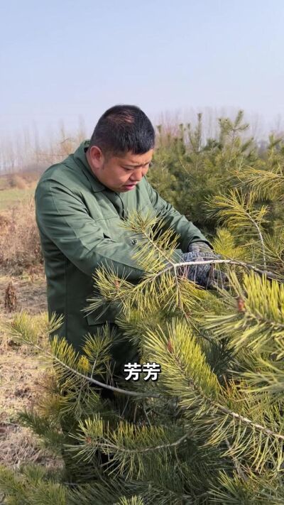 《良緣錯落成劫》劇照