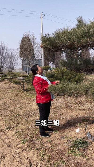 《良緣錯落成劫》劇照