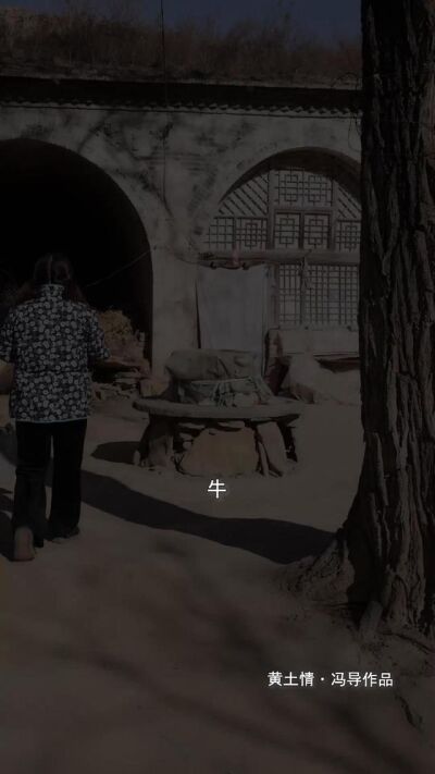 《为甚不回家》剧照