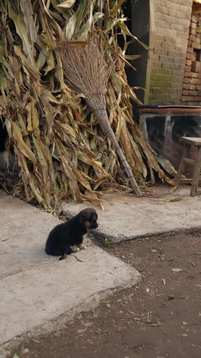 《情满农家院》剧照