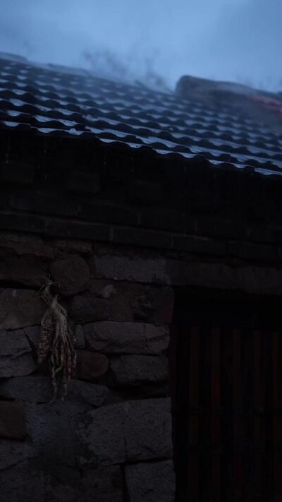 《花開石上又一春》劇照