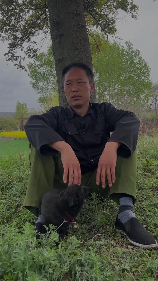《雁歸黃土塬》劇照