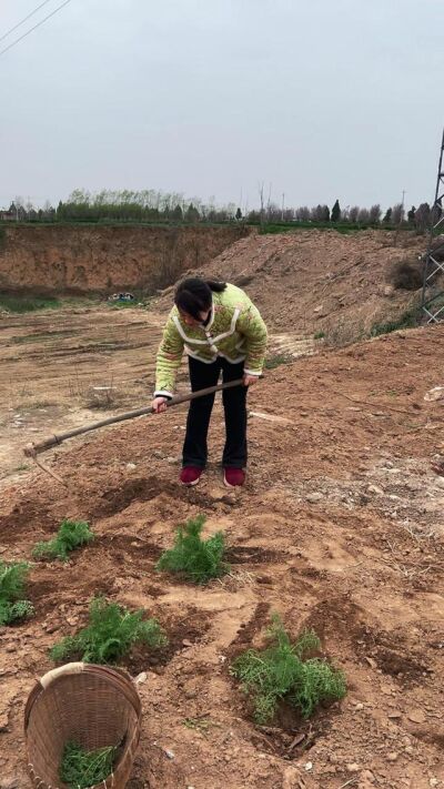 《瞒妻》剧照
