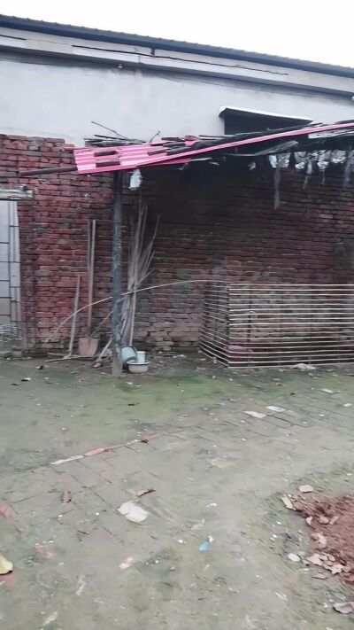 《山中巨物》劇照