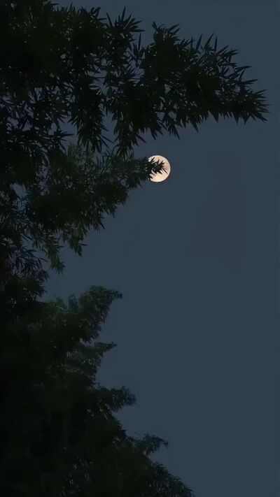 《山中巨物》劇照