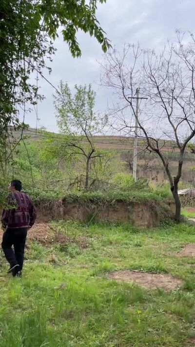 《雁歸黃土塬》劇照