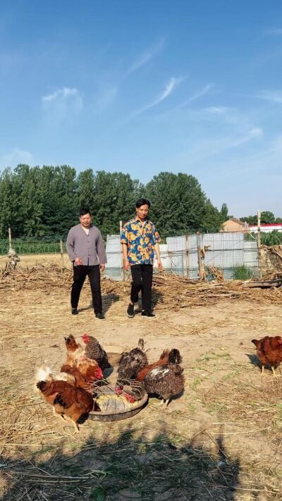 《半生婆媳一世親》劇照