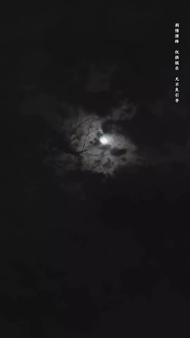 《向陽紅》劇照