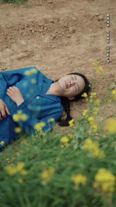 《向陽紅》劇照