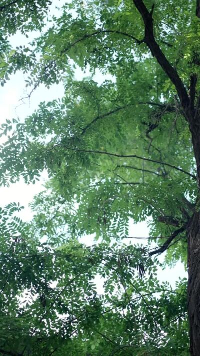《风雨过后见真情》剧照