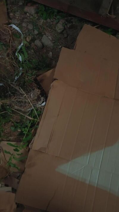 《四合院之傻柱暮年逆襲》劇照