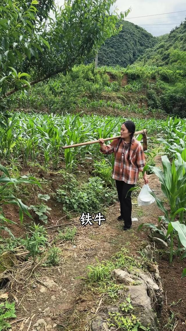《别惹那个种地的女人》剧照