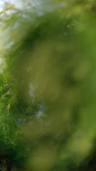 《海上月是天上月》剧照