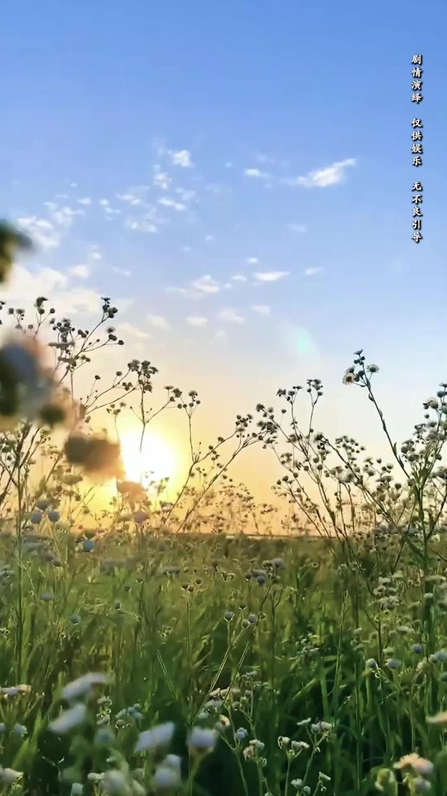 《向陽紅》劇照