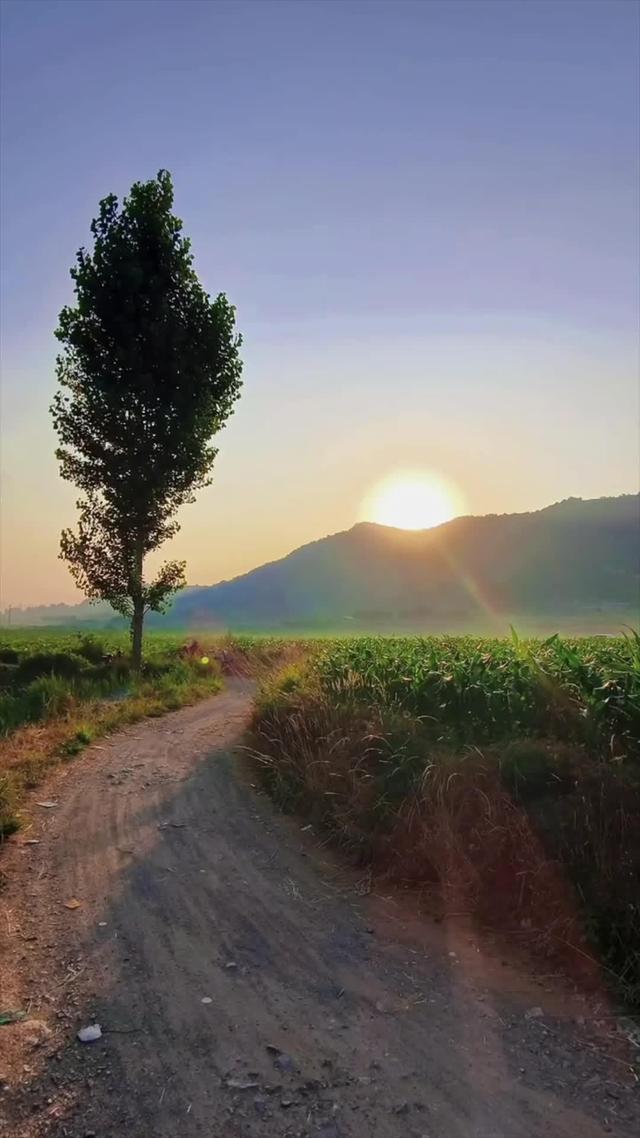 《梨花渡》剧照