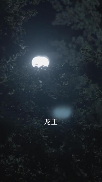 《镇狱枭龙》剧照