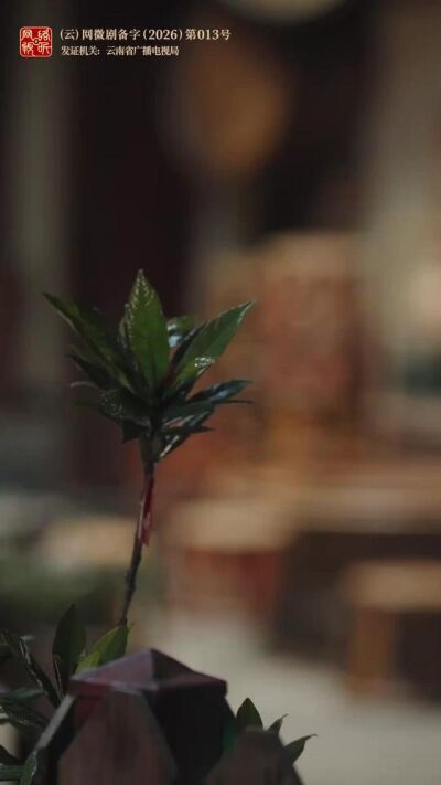 《如果愛，就回來》劇照