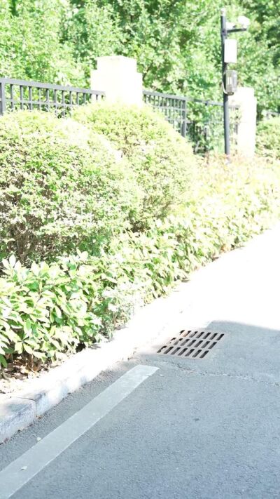《總裁相親記》劇照