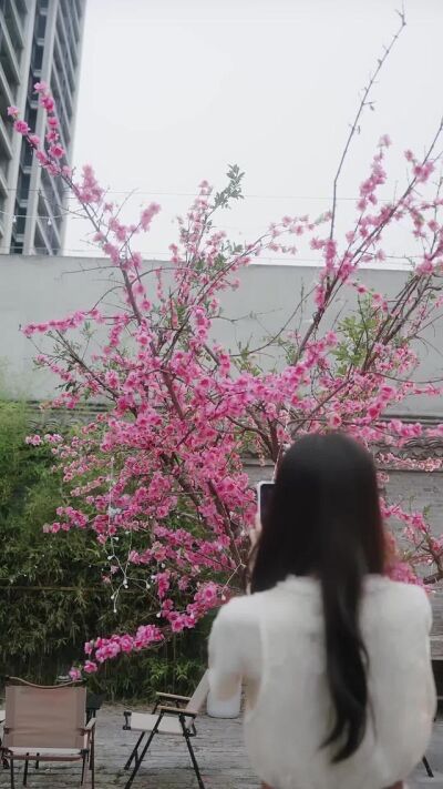 《桃花树下桃花酥》剧照