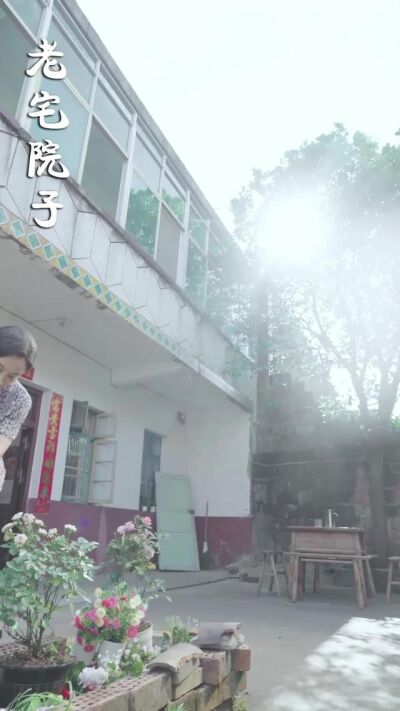 《一纸拆迁见亲情》剧照