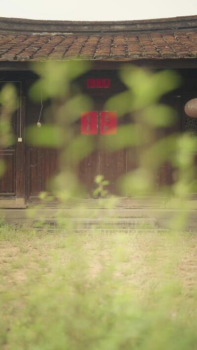 《重生83：我驭兽打猎赶山进货》剧照