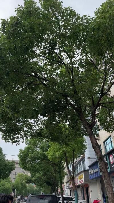 《这个星球的最后一个女人》剧照