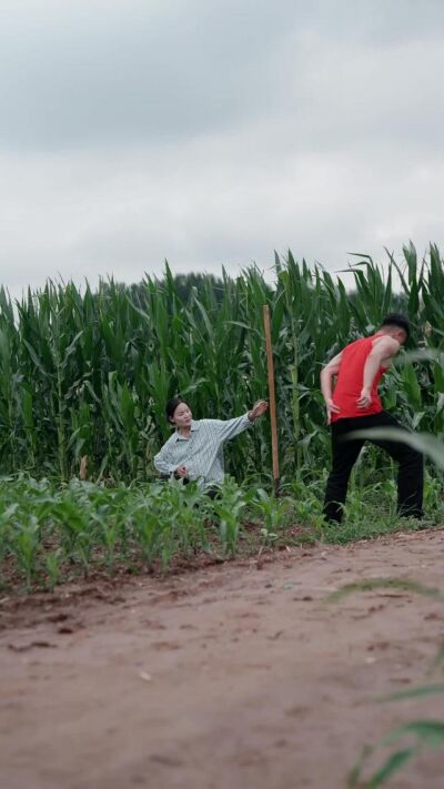 《风雨过后见真情》剧照