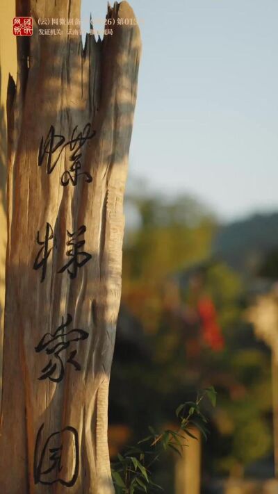 《如果愛，就回來》劇照