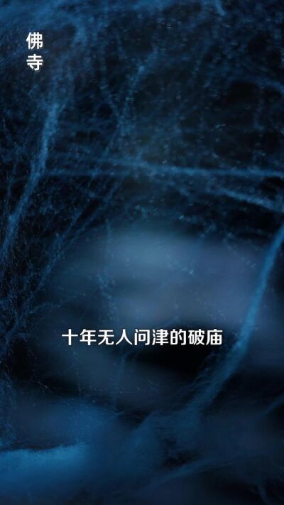 《神眼觉醒，我财运无双》剧照