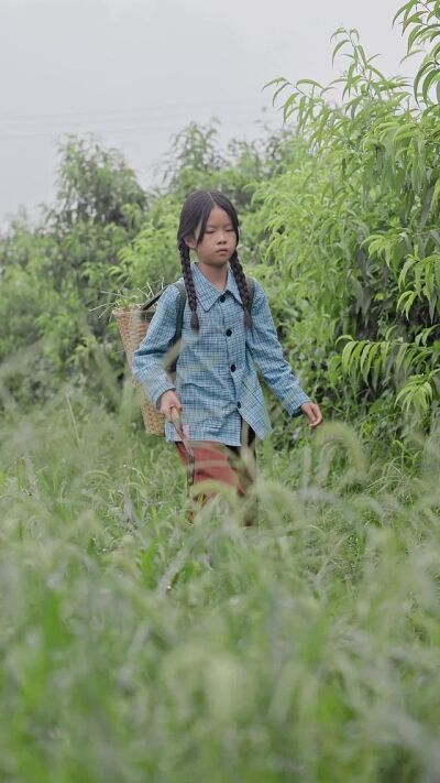 《风吹麦浪时》剧照