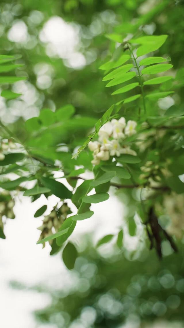 《家有賢妻》劇照