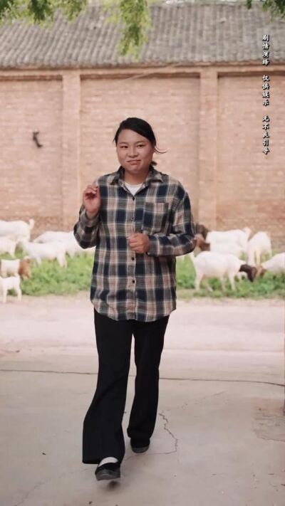 《向陽紅》劇照