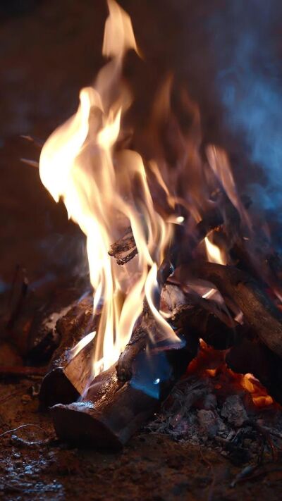 《雇佣兵荒岛求生爆火出圈第二季》剧照