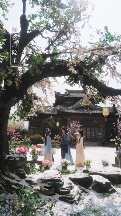 《换嫁东宫，我成太子心尖宠》剧照