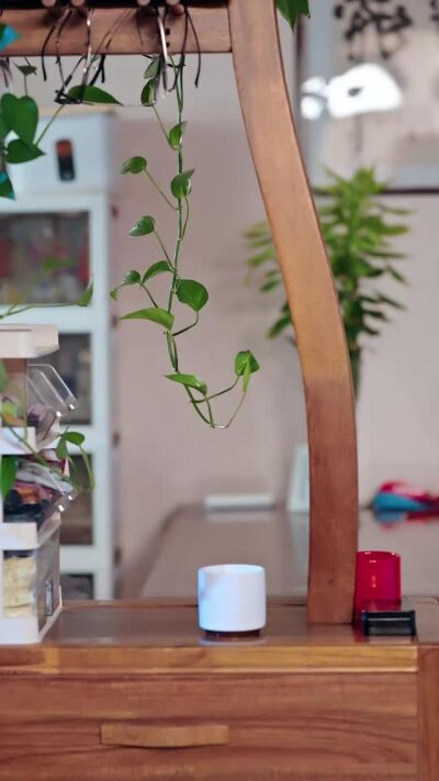 《輪椅上的縫紉機》劇照