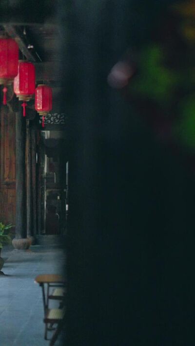 《医林乔木》剧照