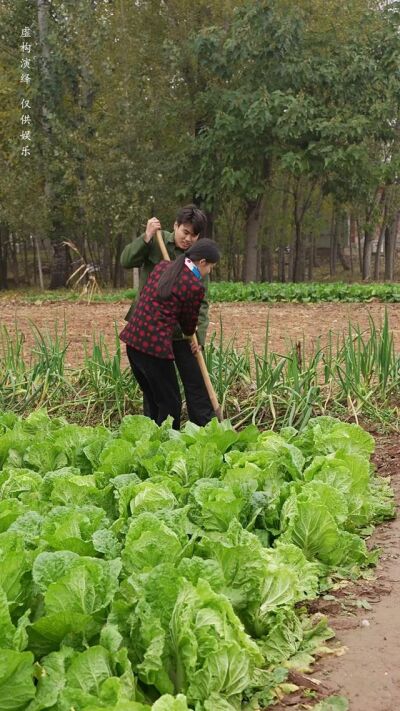 《寡妇的春天》剧照