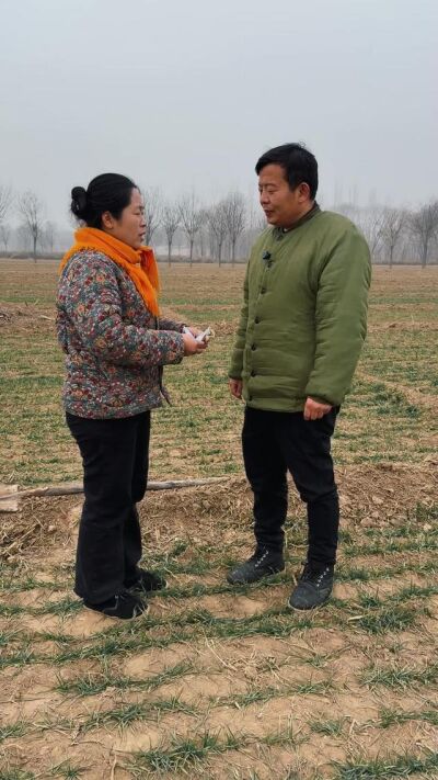 《半生緣，一生情》劇照