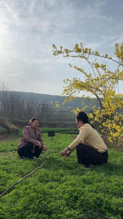 《大姐慧芳》劇照