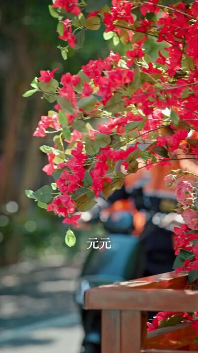 《破繭！》劇照
