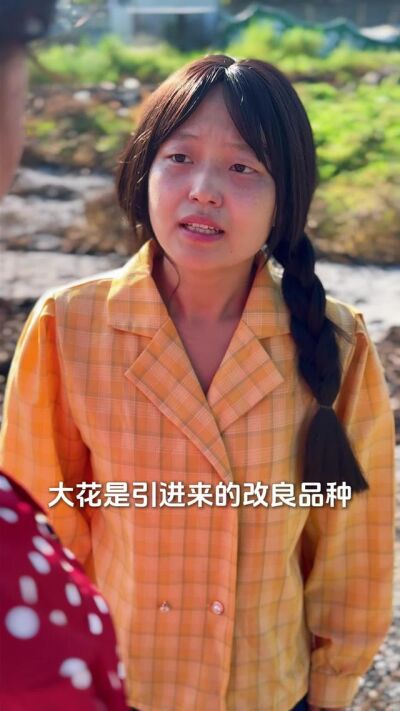 《替姐出嫁，我成了婆家團寵》劇照