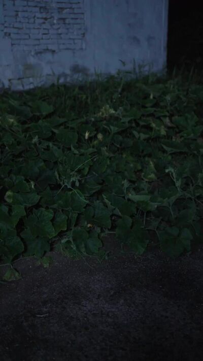《乌云散尽月正圆》剧照